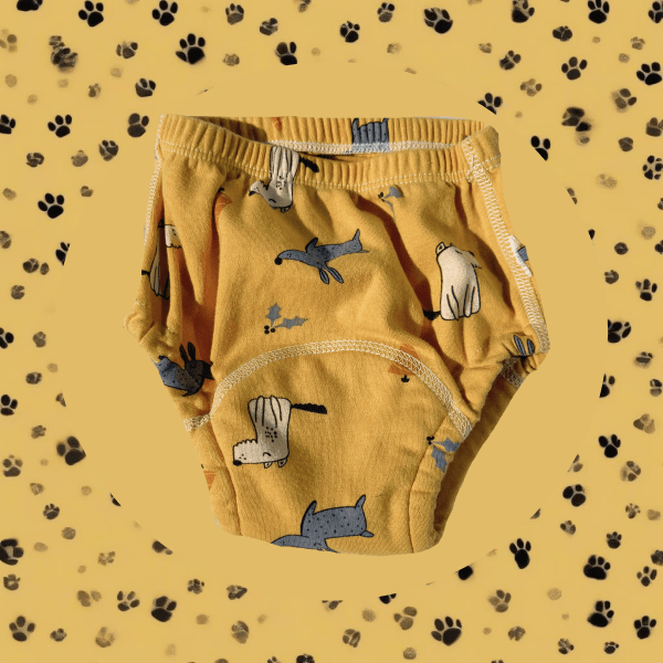 Couche chien