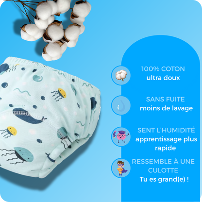 Les Culottes d'apprentissage